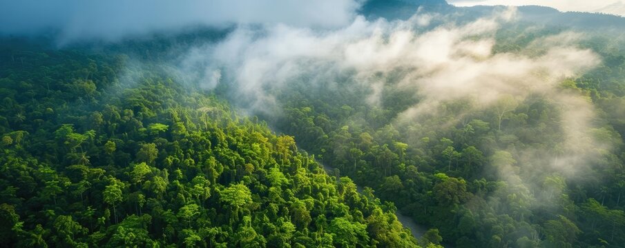 รูปภาพBiome – เลือกดูภาพถ่ายสต็อก เวกเตอร์ และวิดีโอ131,993 | Adobe Stock