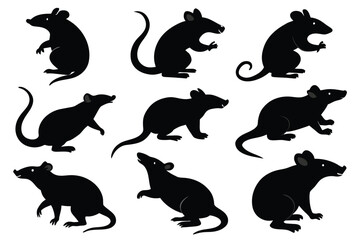 Set of Bamboo Rat animal black silhouette vector on white background