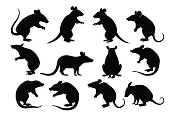 Set of Bamboo Rat animal black silhouette vector on white background