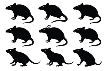 Set of Bamboo Rat animal black silhouette vector on white background