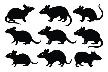 Set of Bamboo Rat animal black silhouette vector on white background