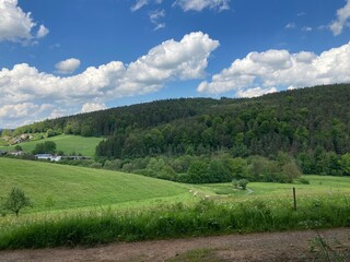 Wanderweg im Odenwalf