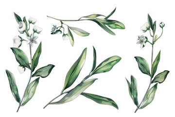 Fresh green leaves and flowers on a clean white background. Perfect for botanical designs