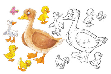 Ugly Duckling. Fairy tale. Small collection of cute characters. Illustration for children. Coloring page