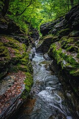 Peaceful stream flowing through vibrant forest, perfect for nature themes