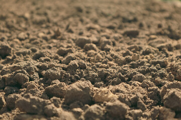Ground surface. Close up natural background. Soil texture background.