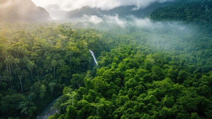 Aerial view of lush rainforest with cascading waterfall and misty mountains in the background, showcasing nature's beauty.