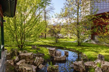 Chinese garden in spring