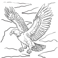 Hand drawing style of eagle vector. It is suitable for animal icon, sign or symbol.