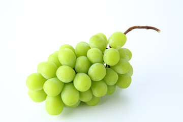 マスカット　白背景