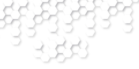 Background with hexagons . Abstract background with lines . white texture background . hexagon abstract background. Surface polygon pattern with glowing hexagon paper texture and futuristic business.