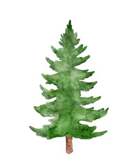 Watercolor green Christmas tree cut out from white background. Fir tree watercolor vector