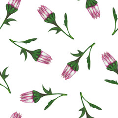 Chrysanthemum Flower Seamless Pattern. Hand Drawn Floral Digital Paper on White Background.