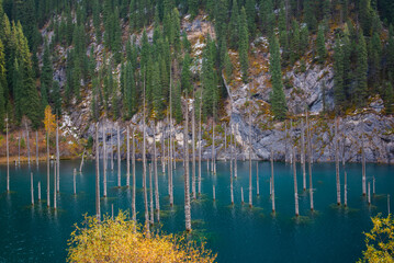 a stunning view of a turquoise lake with standing dead trees, a rocky cliff side, and a forested mountain slope with autumnal trees