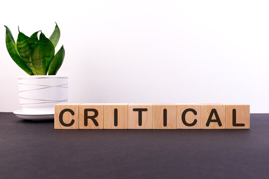 CRITICAL word concept written on wooden blocks, cubes on a dark table with a flower and a light background