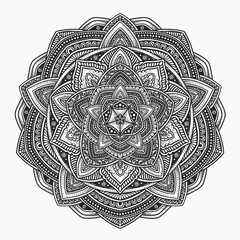 Beautiful floral pattern mandala art isolated on a black background - Vector Eps 10