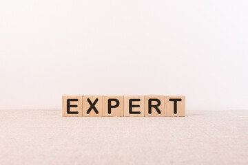 Word EXPERT made with wood building blocks on a light background