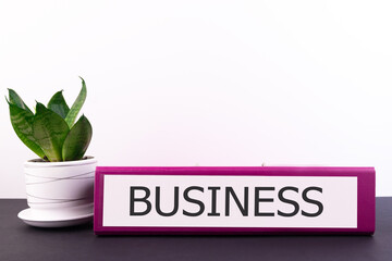 Business inscription on a folder lying on a dark table and a flower in a flowerpot
