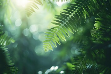 Leaves penetrate the sunlight