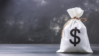 Close-up of white money bag. Money saving, investment and finance concept. Business object.