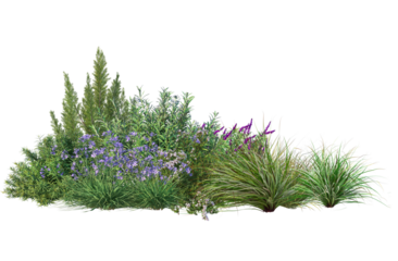 3d render group flowers and low shrubs for landscaping, transparent background