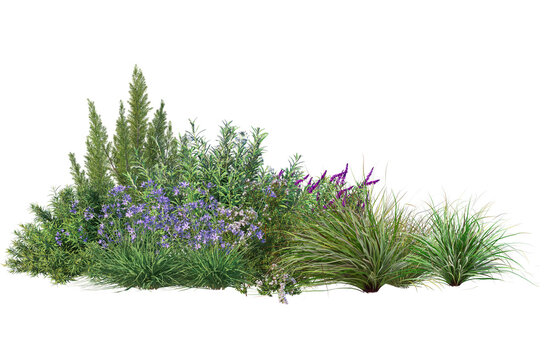 3d render group flowers and low shrubs for landscaping, transparent background