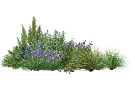 3d render group flowers and low shrubs for landscaping, transparent background
