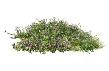 Flowers and low shrubs for landscaping 3d render, transparent background
