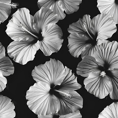 black and white flowers AI generated 