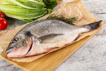 Raw dorada fish served rosemary