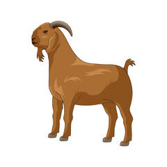 goat vector illustration. Eid al-Adha Sacrifice celebration festival