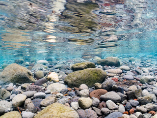 波打ち際から陸に飛び出してしまった、美しいセミホウボウ（セミホウボウ科）。
この後無事に海に戻れました。

日本国静岡県伊豆半島賀茂郡南伊豆町中木から渡し船で渡るヒリゾ浜にて。
2022年夏水中撮影。

A beautiful Oriental flying gurnard (Dactyloptena orientalis) that had jumped out of the surf and 