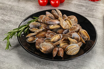 Raw vongole clams for cooking