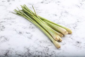 Lemongrass - Asian aroma plant for cooking