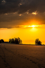 Red sunset over the field with trees .Contrast sky . Golden hour . 