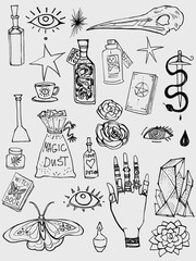 Set line art drawing clipart halloween holiday party invitation. Witch minimalistic items icons bird skull witch magic book sword rose flower Gothic stickers design elements on occult scary theme	