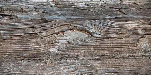 Old Wood texture background. Nature texture