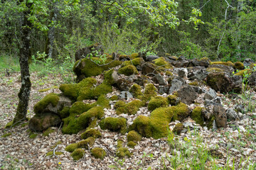 muret en pierre sèche, Rivière sur Tarn, 12, Aveyron, Parc naturel régional des Grands Causses,...
