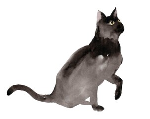 A bright watercolor illustration of an 