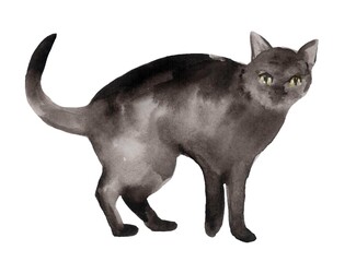 A vibrant watercolor illustration of a black cat on a white background. This charming, childlike drawing exudes playful energy and whimsical appeal, perfect for a youthful audience