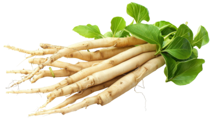 A bundle of vibrant ginger roots with lush green leaves