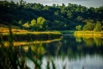 Summer river at morning . Forest on anothe beach. Fog on the water . Green forest . Reflections on the water . Sky over the lake . Trees on beach