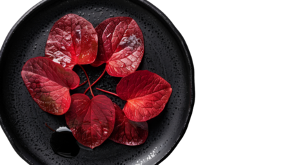 Red leaves arranged neatly in a black bowl, contrasted against a clean white backdrop