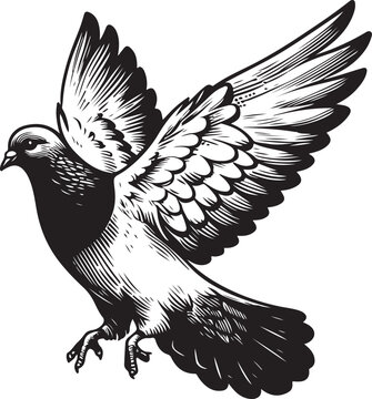 recommend clip art: pigeon Vector sketch art illustration
