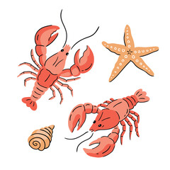 Sea food collection. Сrayfish, seashell and starfish isolated on white background. Vector crayfish illustration in hand-drawn style. 