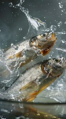 Vibrant image titled 'fish sinking into boiling broth' captures the captivating scene of underwater movement as the fish gracefully descends into the bubbling broth.
