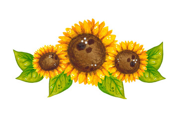 Watercolor composition, hand drawn illustration. Summer, bright, plants, sunflower, flowers, leaves, natural, agronomy, oil, seeds, banner