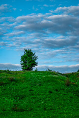 field and blue sky