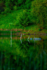 Lake and forest . Summer lake . Green woods and green field . Lake and reflactions on water . Green trees . Blue water . Forest on lake