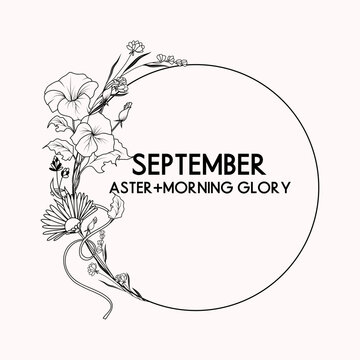 September birth month flower wreath, aster and morning glory flower border, vector hand drawn isolated line art botanical frame for greeting cards and invitations
